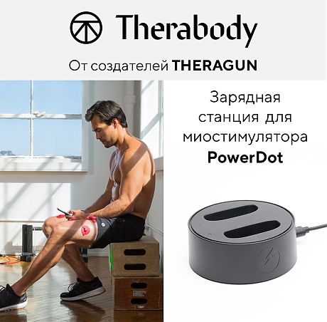 Зарядная станция PowerDock